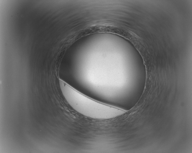 X0000075921014200609151058