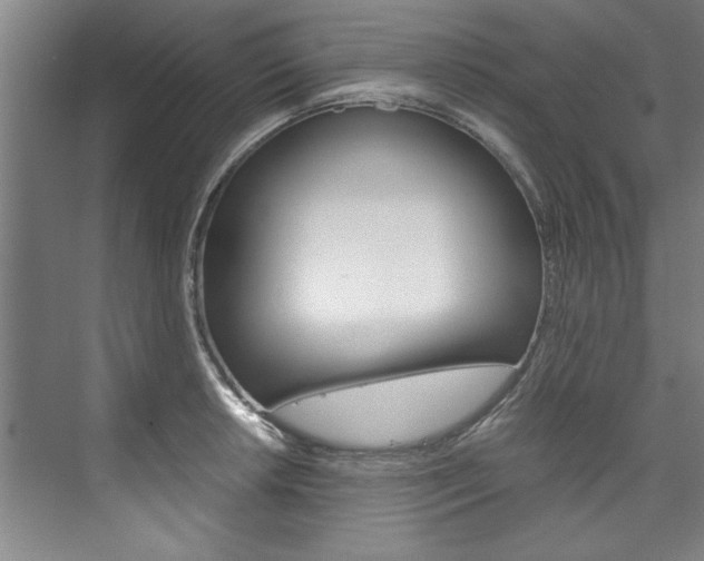 X0000075921042200609151059