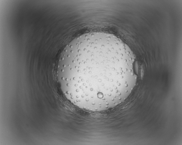 X0000075921059200609151058