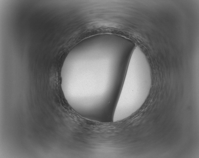 X0000075921061200609151058