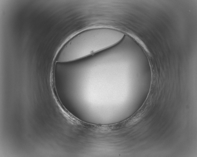 X0000075921101200609151057