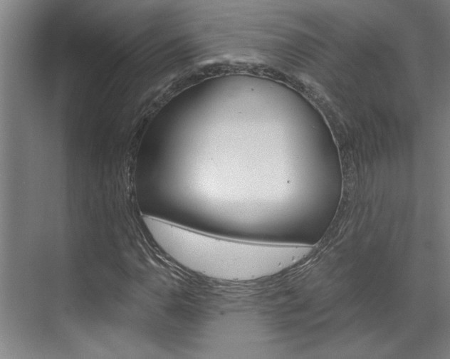 X0000075921110200609151057
