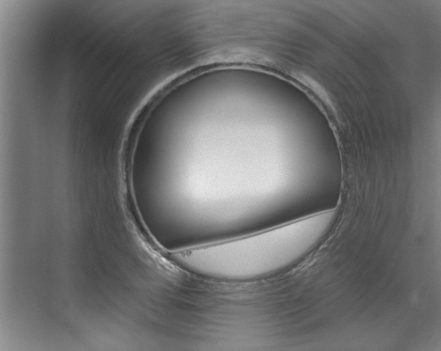 X0000075921120200609151057