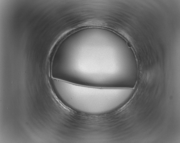 X0000075921123200609151057