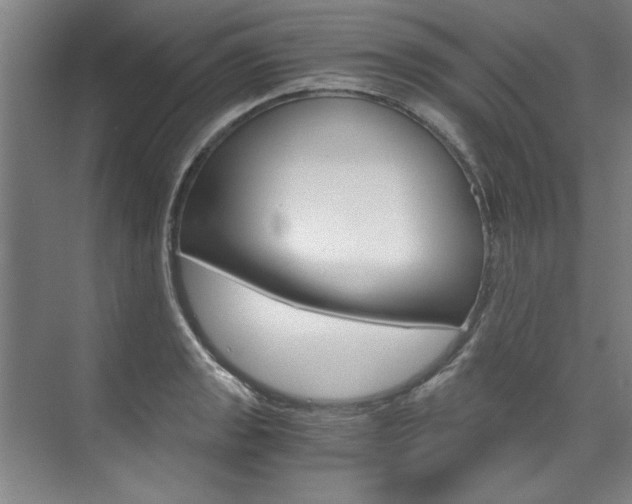 X0000075921133200609151057
