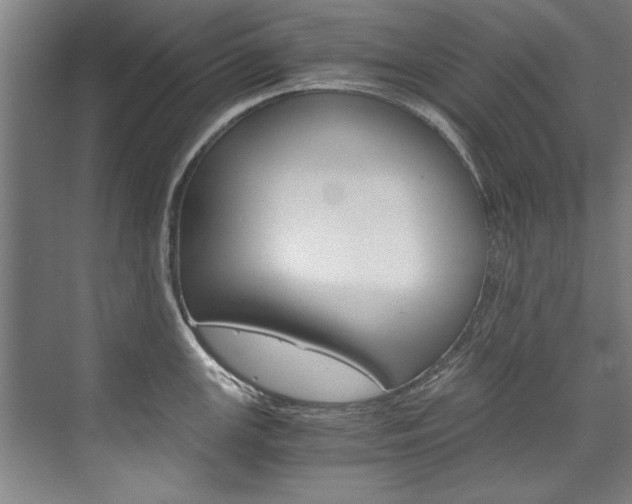 X0000075921147200609151057