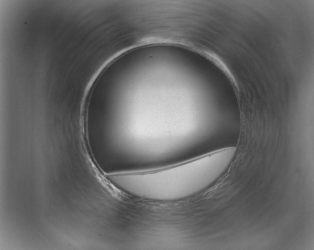 X0000075921148200609151057
