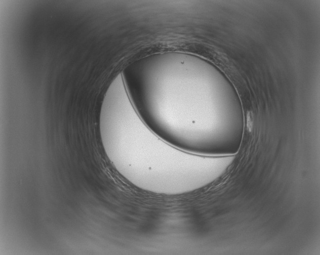 X0000075921155200609151056