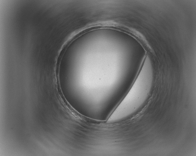 X0000075921176200609151056