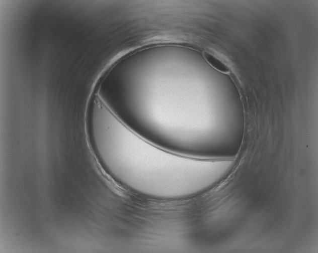 X0000075921179200609151056