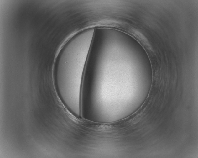 X0000075921180200609151056