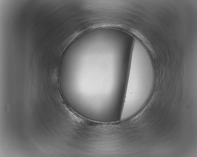 X0000075921185200609151056