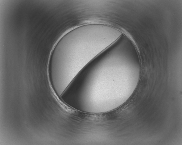 X0000075921195200609151056