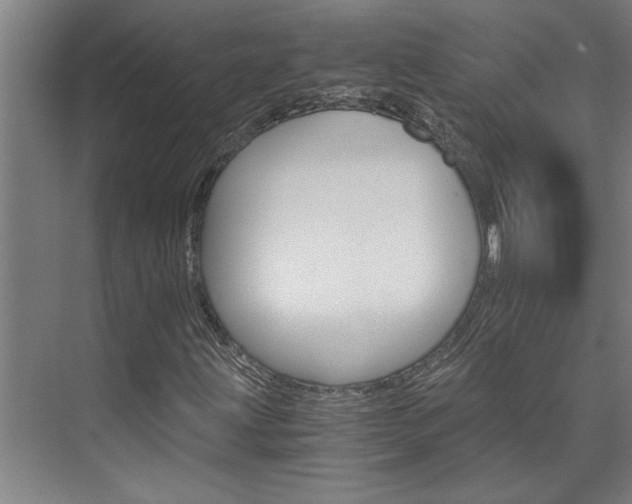X0000075921203200609151055