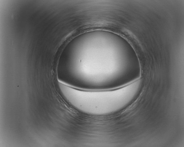 X0000075921210200609151055