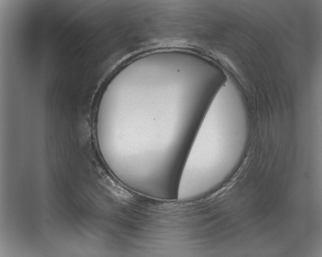 X0000075921212200609151055