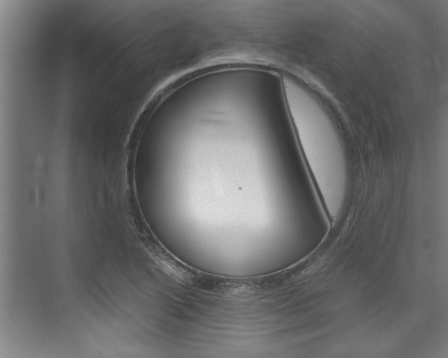 X0000075921222200609151055