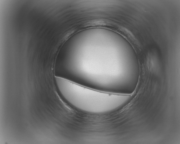 X0000075921225200609151055