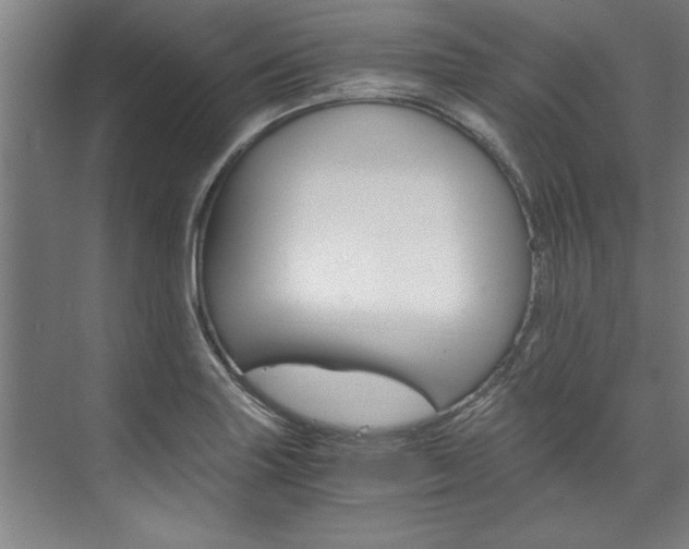 X0000075921227200609151055