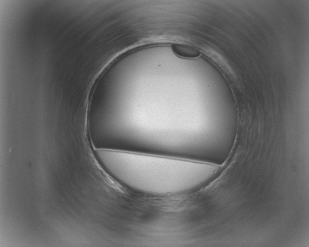 X0000075921228200609151055