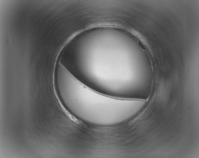 X0000075921237200609151056