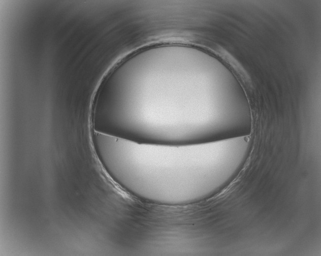X0000075921240200609151056