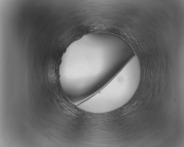 X0000075921250200609151055