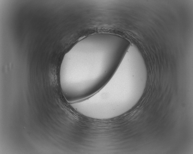 X0000075921252200609151055