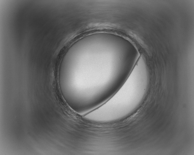 X0000075921261200609151055