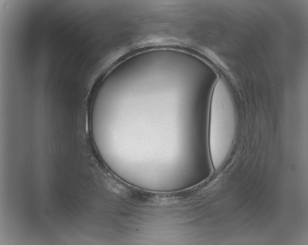 X0000075921269200609151055