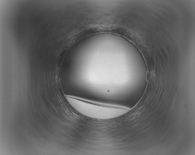 X0000075921300200609151053