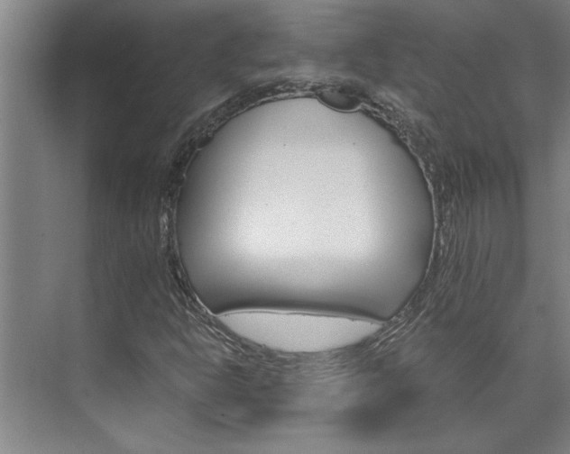 X0000075921302200609151053