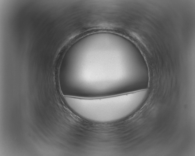 X0000075921307200609151053