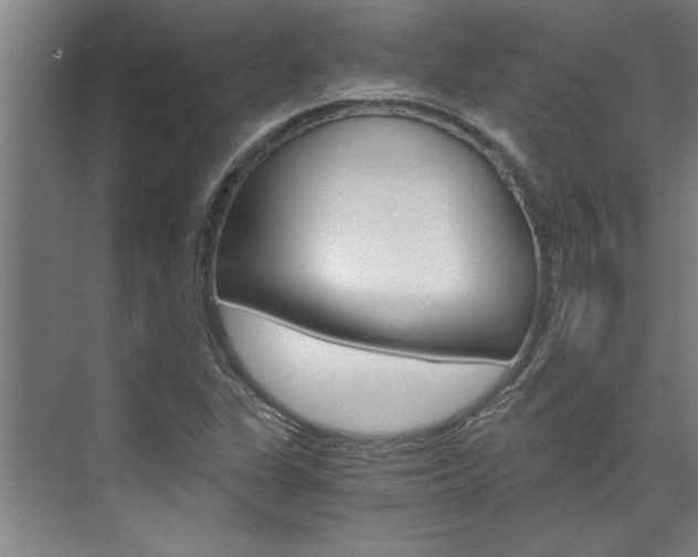 X0000075921311200609151054