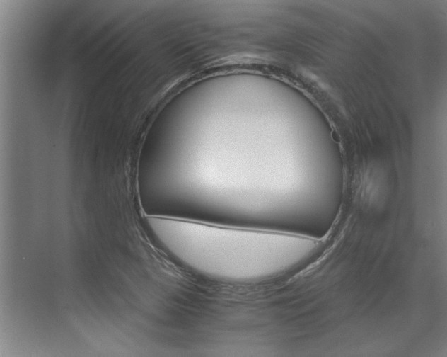 X0000075921313200609151054