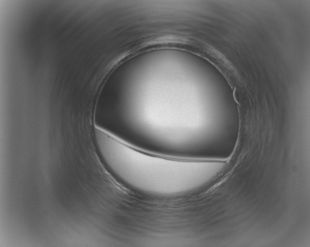 X0000075921321200609151054