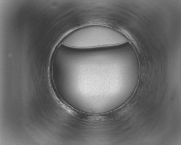 X0000075921331200609151054