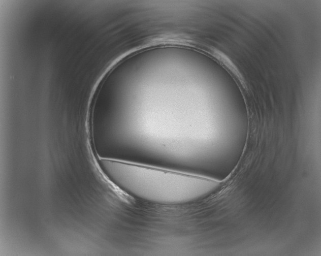 X0000075921339200609151054