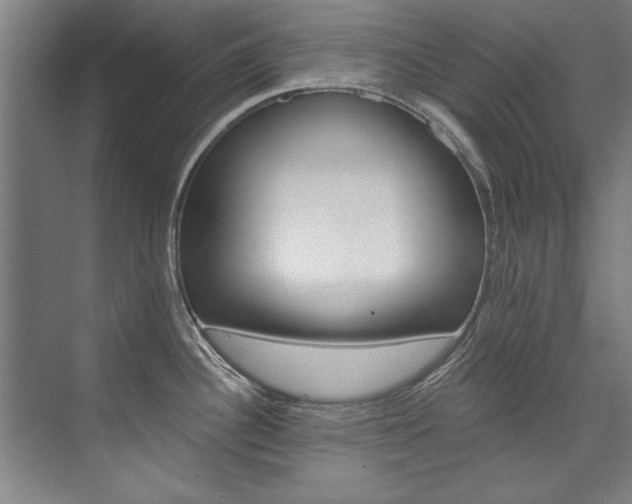 X0000075921340200609151054