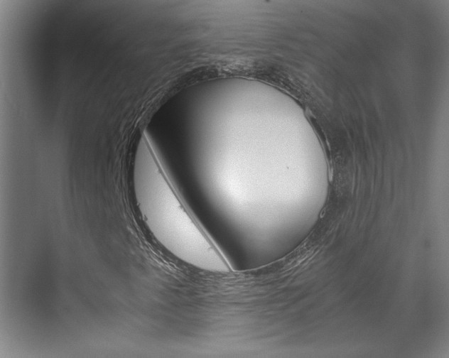 X0000075921345200609151053