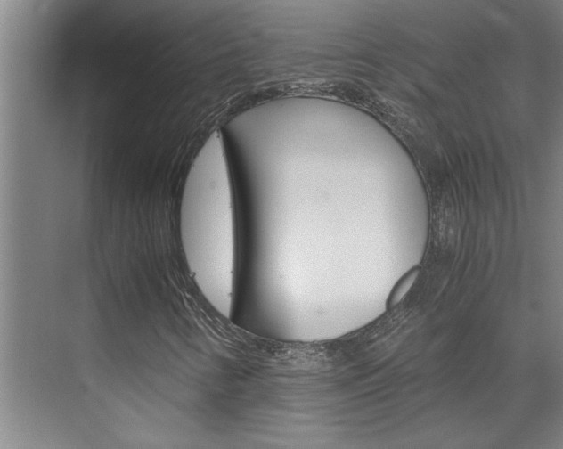X0000075921346200609151053