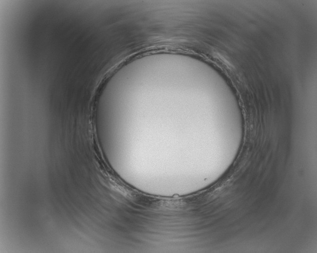 X0000075921354200609151053