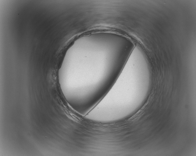 X0000075921355200609151053