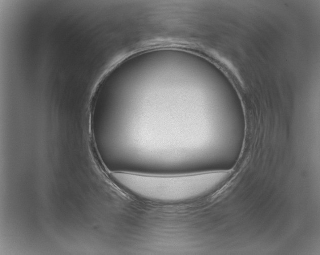 X0000075921365200609151053