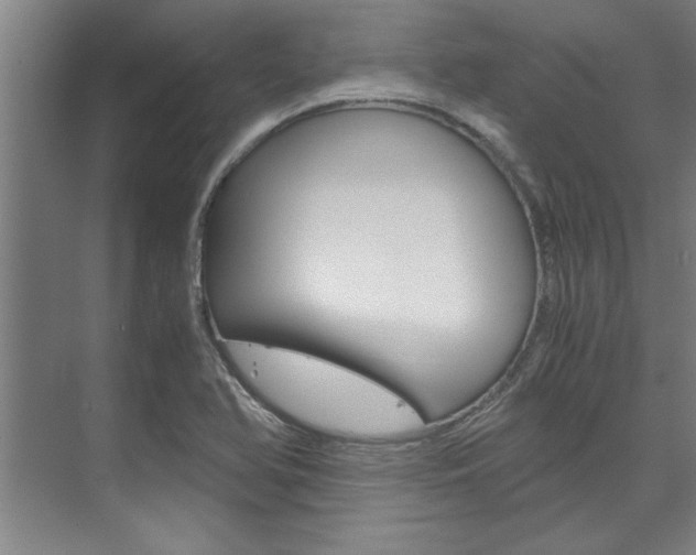 X0000075921366200609151053