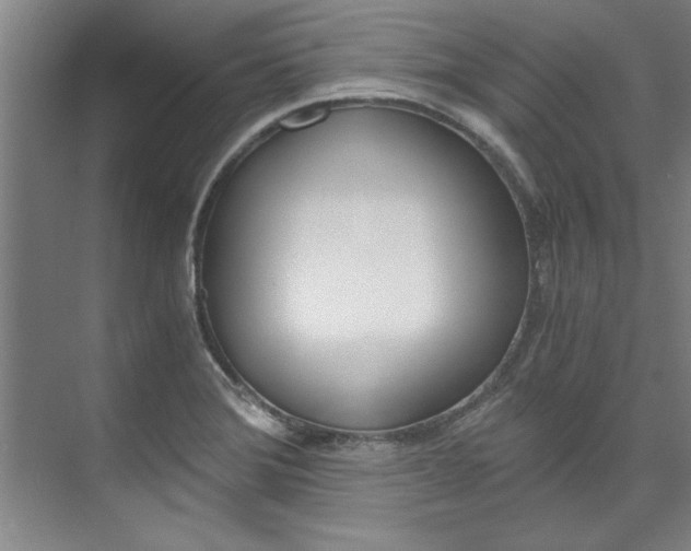 X0000075921372200609151053