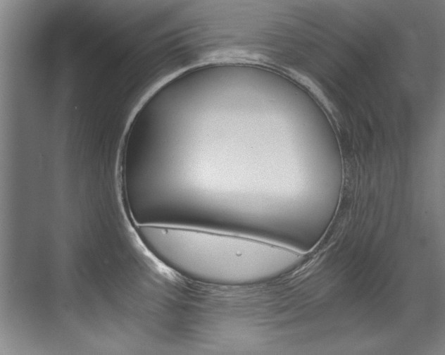 X0000075921387200609151053