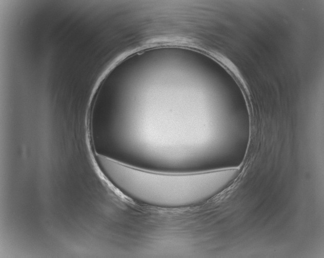 X0000075921389200609151053