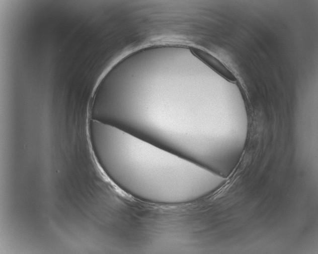 X0000075921390200609151053
