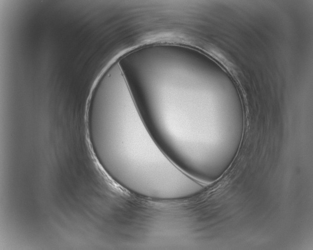 X0000075921392200609151053